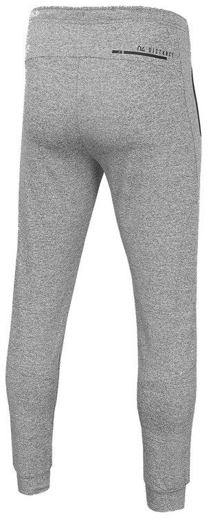 Męskie spodnie dresowe 4F szare